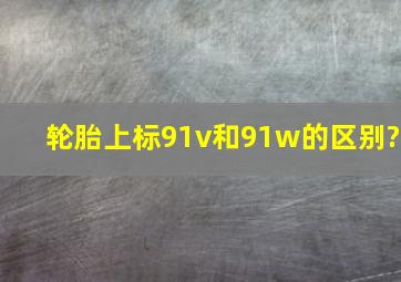 轮胎上标91v和91w的区别?