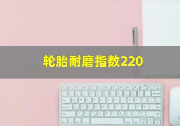 轮胎耐磨指数220