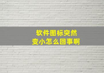 软件图标突然变小怎么回事啊