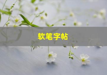 软笔字帖