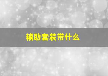 辅助套装带什么