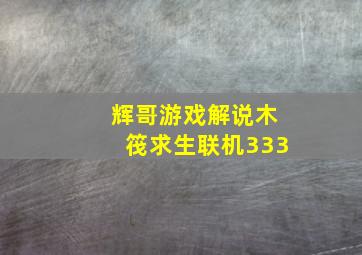 辉哥游戏解说木筏求生联机333