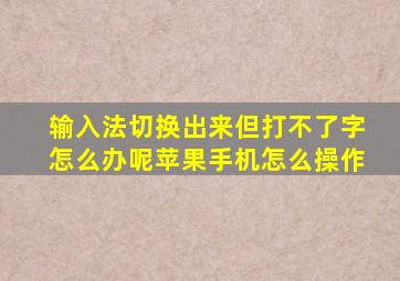 输入法切换出来但打不了字怎么办呢苹果手机怎么操作