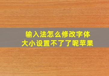 输入法怎么修改字体大小设置不了了呢苹果