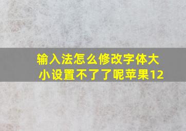 输入法怎么修改字体大小设置不了了呢苹果12