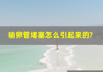 输卵管堵塞怎么引起来的?