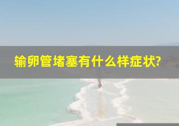 输卵管堵塞有什么样症状?