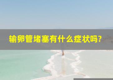 输卵管堵塞有什么症状吗?