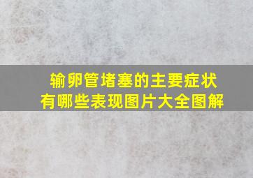 输卵管堵塞的主要症状有哪些表现图片大全图解