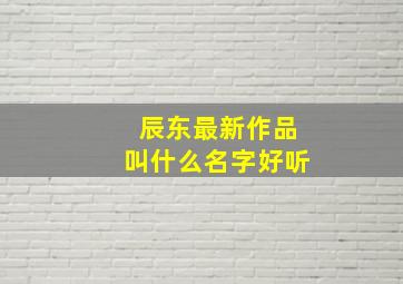 辰东最新作品叫什么名字好听