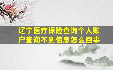 辽宁医疗保险查询个人账户查询不到信息怎么回事