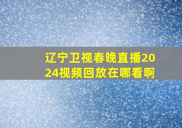 辽宁卫视春晚直播2024视频回放在哪看啊