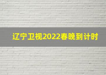 辽宁卫视2022春晚到计时