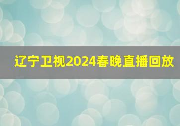 辽宁卫视2024春晚直播回放