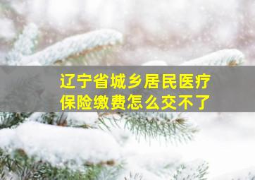 辽宁省城乡居民医疗保险缴费怎么交不了