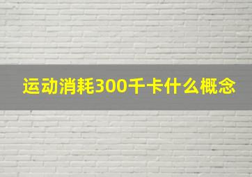 运动消耗300千卡什么概念