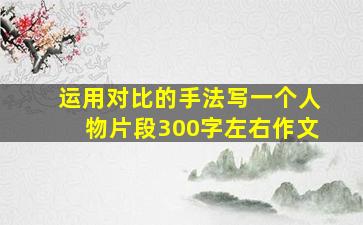 运用对比的手法写一个人物片段300字左右作文