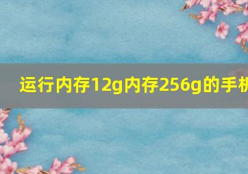 运行内存12g内存256g的手机