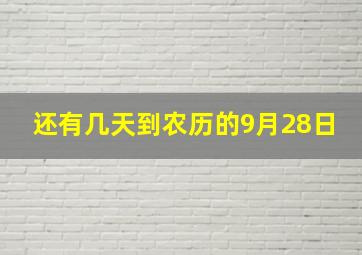 还有几天到农历的9月28日