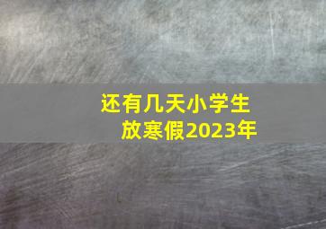 还有几天小学生放寒假2023年