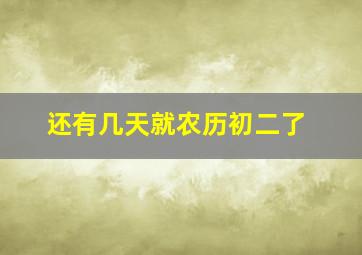 还有几天就农历初二了