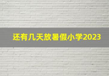 还有几天放暑假小学2023