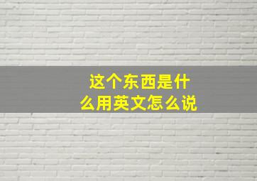 这个东西是什么用英文怎么说