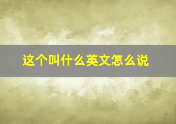 这个叫什么英文怎么说