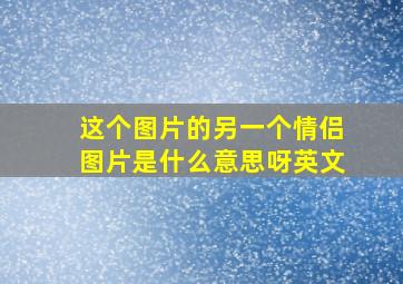 这个图片的另一个情侣图片是什么意思呀英文