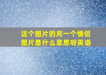 这个图片的另一个情侣图片是什么意思呀英语