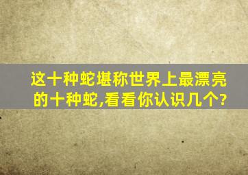 这十种蛇堪称世界上最漂亮的十种蛇,看看你认识几个?