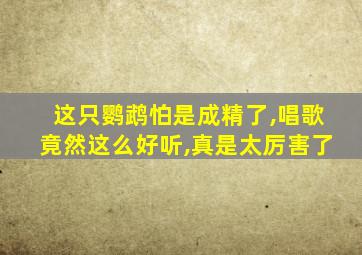 这只鹦鹉怕是成精了,唱歌竟然这么好听,真是太厉害了