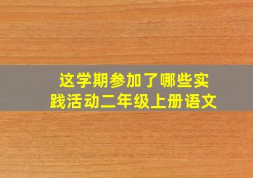 这学期参加了哪些实践活动二年级上册语文