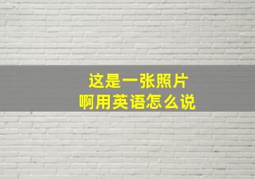 这是一张照片啊用英语怎么说