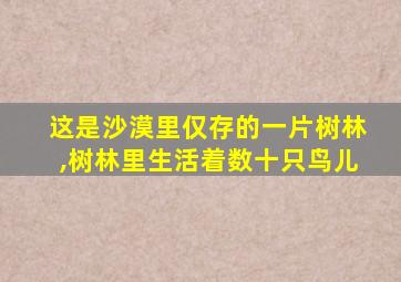 这是沙漠里仅存的一片树林,树林里生活着数十只鸟儿