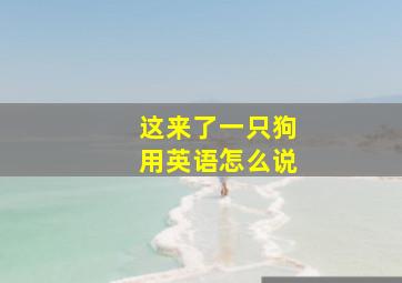 这来了一只狗用英语怎么说