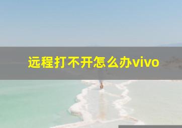 远程打不开怎么办vivo