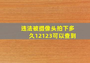 违法被摄像头拍下多久12123可以查到