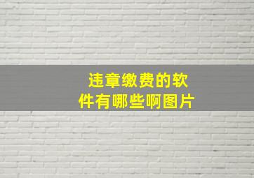 违章缴费的软件有哪些啊图片