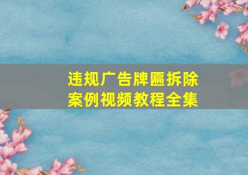 违规广告牌匾拆除案例视频教程全集