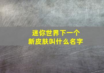 迷你世界下一个新皮肤叫什么名字