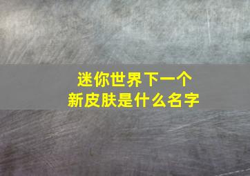 迷你世界下一个新皮肤是什么名字