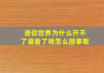 迷你世界为什么开不了语音了呀怎么回事呢