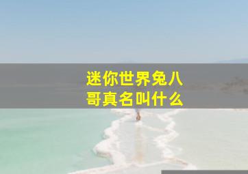 迷你世界兔八哥真名叫什么