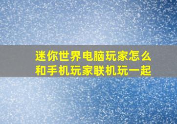 迷你世界电脑玩家怎么和手机玩家联机玩一起