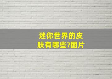 迷你世界的皮肤有哪些?图片