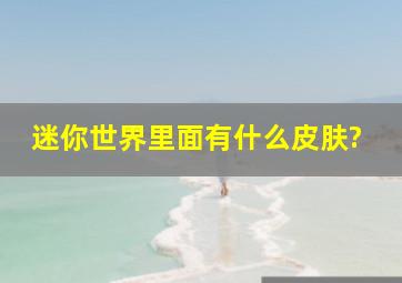 迷你世界里面有什么皮肤?