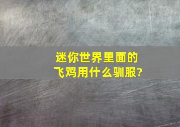 迷你世界里面的飞鸡用什么驯服?