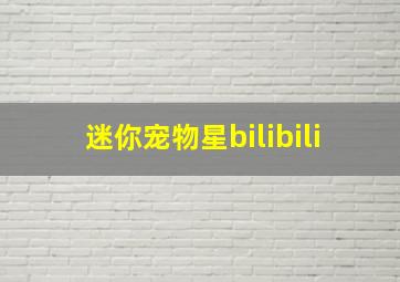 迷你宠物星bilibili