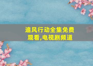 追风行动全集免费观看,电视剧频道